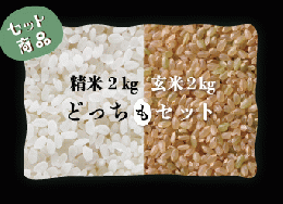 【サブスク便】　広島県庄原市産特別栽培米　コシヒカリ　精米２㎏・玄米２㎏（どっちもセット）