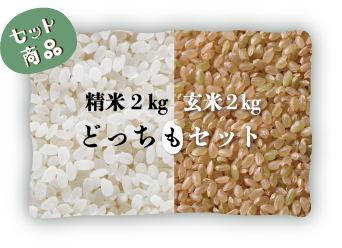 【サブスク便】　広島県庄原市産特別栽培米　コシヒカリ　精米２㎏・玄米２㎏（どっちもセット）