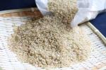 【サブスク便】　広島県庄原市産特別栽培米　コシヒカリ　玄米　４㎏